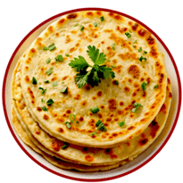 famous halal food in Sydney by paratha co